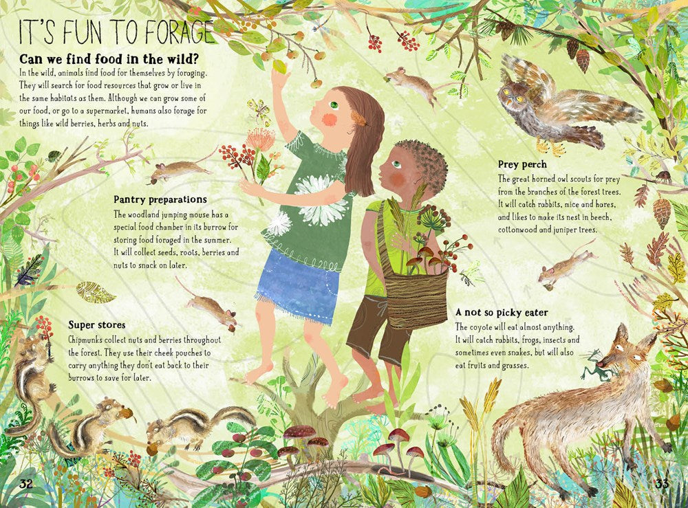The Big Book of Belonging