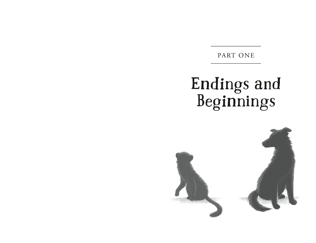 The Unlikely Tale of Chase and Finnegan