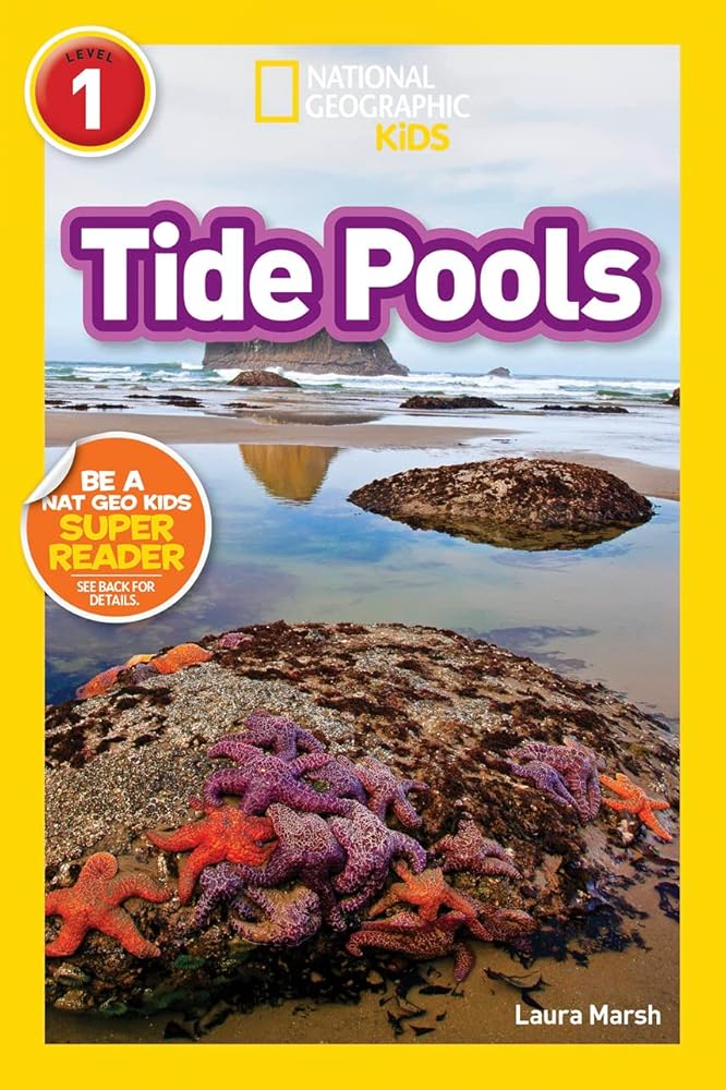 Tide Pools (Level 1)