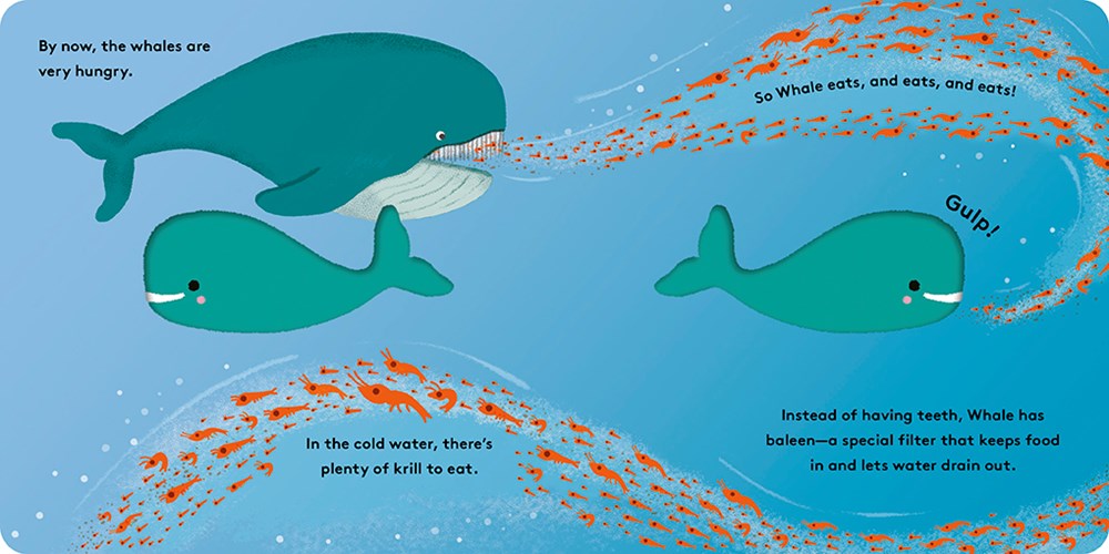 Whale