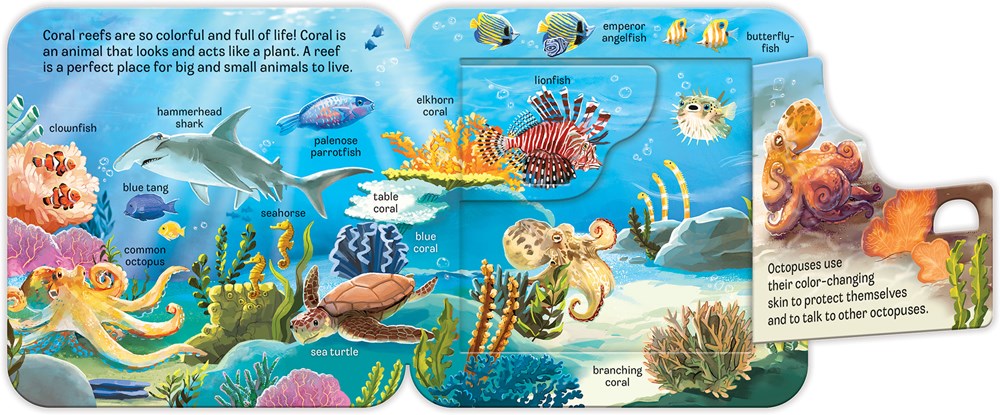 Ocean:  Peek-a-Flap
