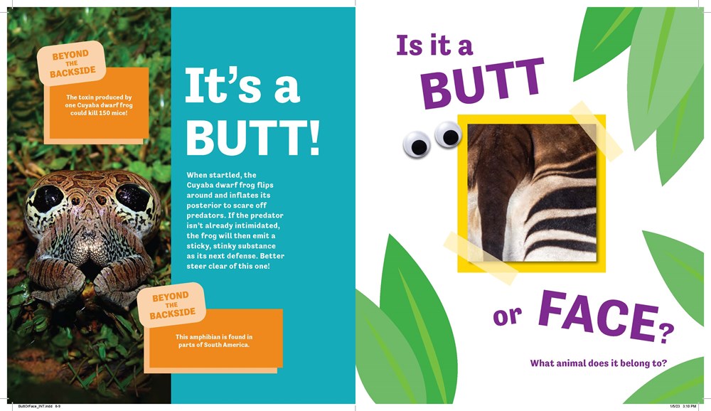 Butt or Face? (Book #1)