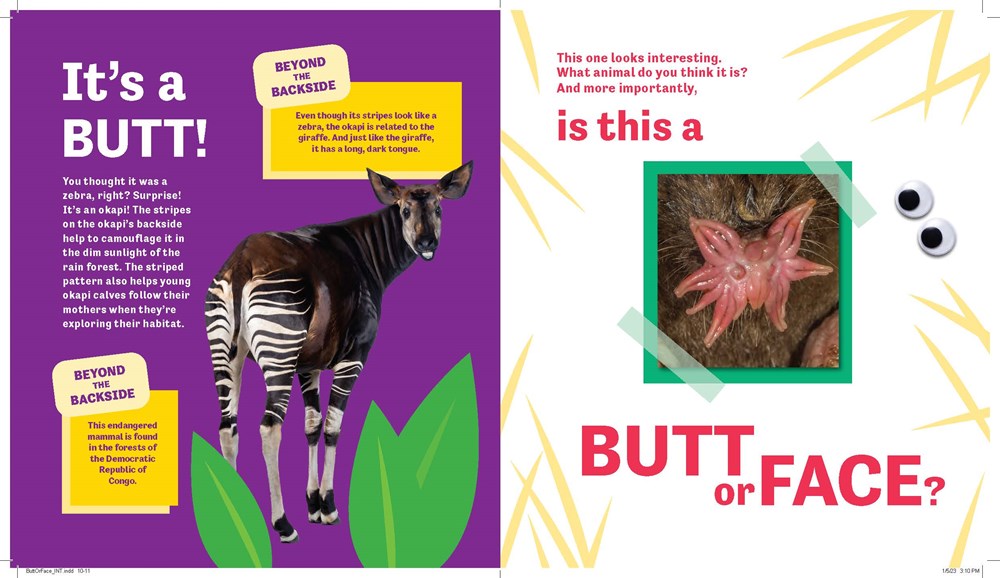 Butt or Face? (Book #1)