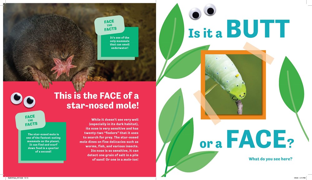 Butt or Face? (Book #1)