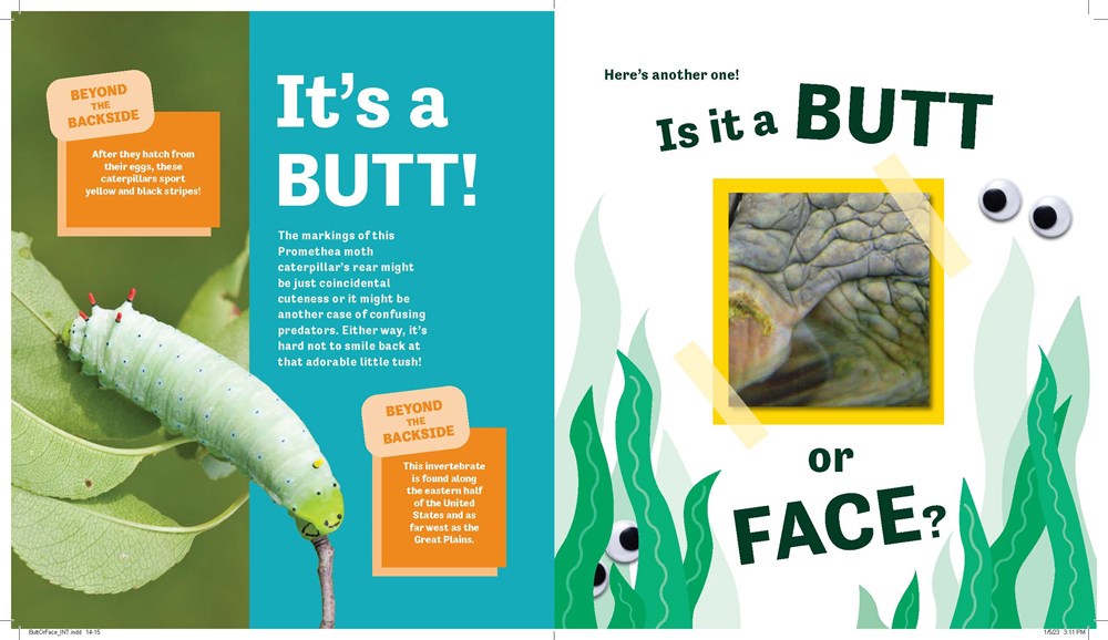 Butt or Face? (Book #1)