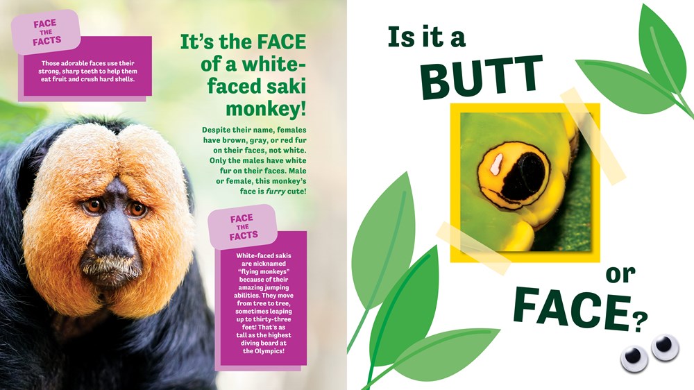 Butt or Face?: Revenge of the Butts (Book #2)