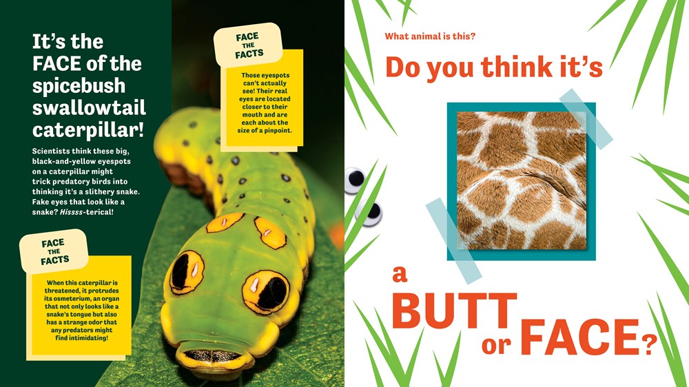 Butt or Face?: Revenge of the Butts (Book #2)
