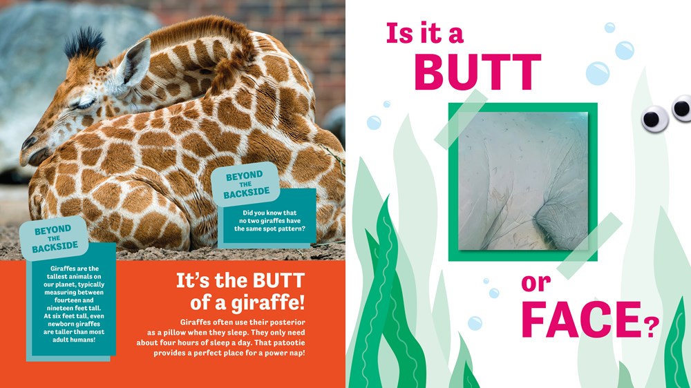 Butt or Face?: Revenge of the Butts (Book #2)