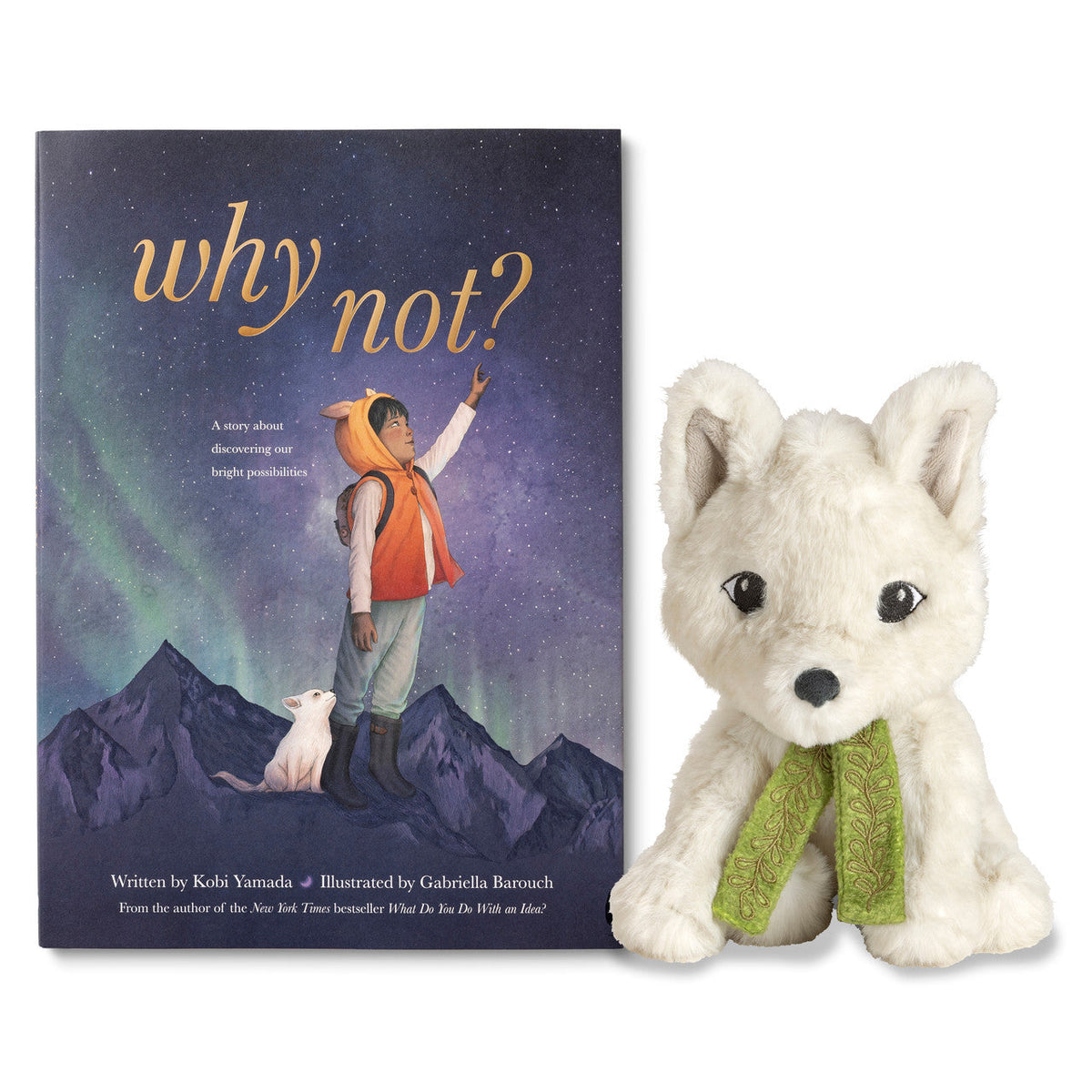 Why Not Plush: A companion to the book Why Not?